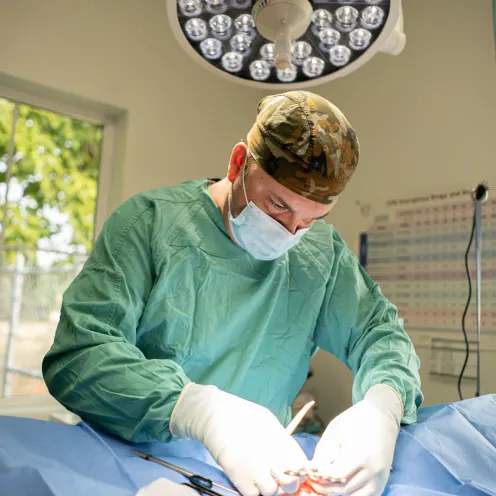 a doctor doing a surgical procedure